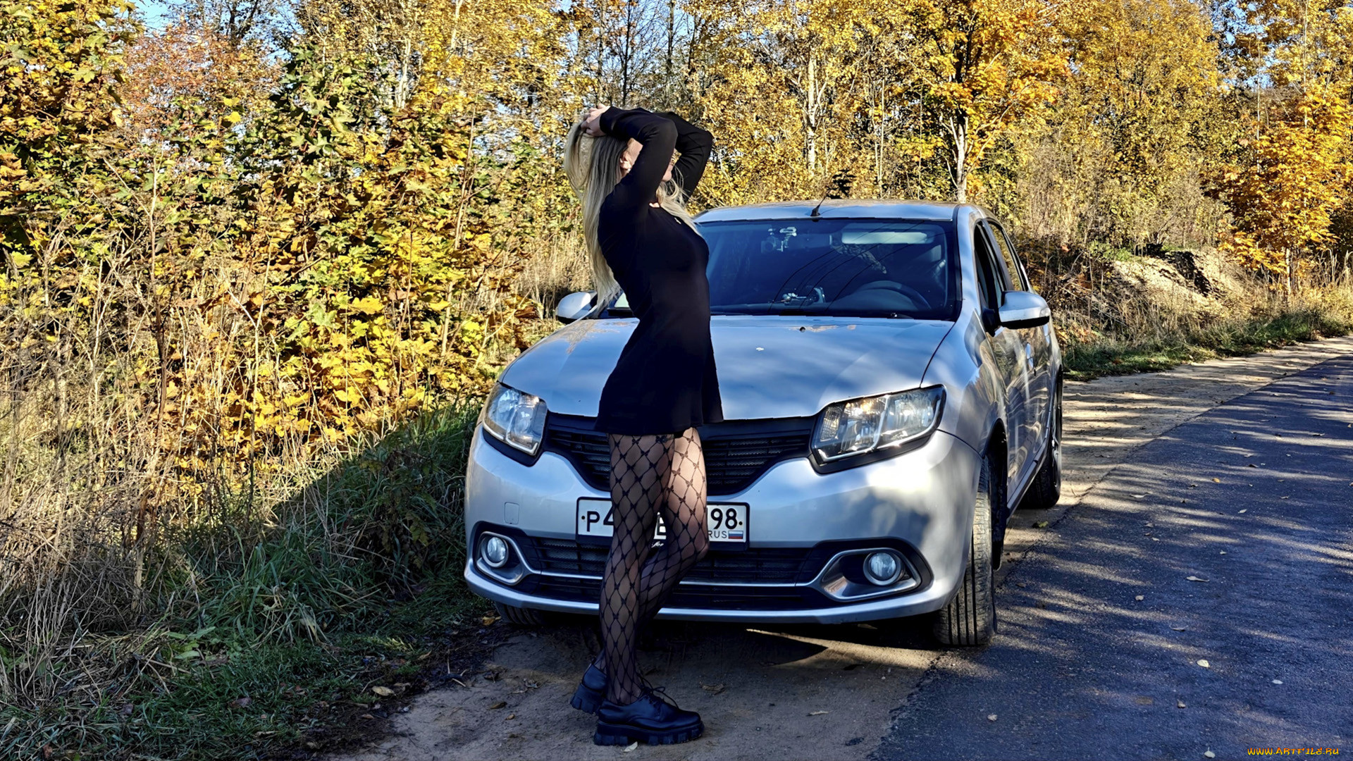 ����������, -���� � ���������, renault, logan